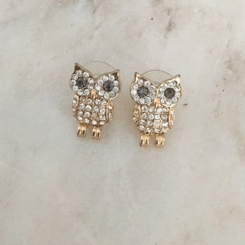 Owl Earrings